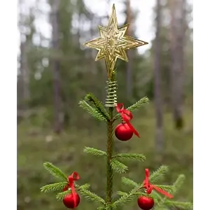 Julstjärna (Toppstjärna) Guldfärgad WWF